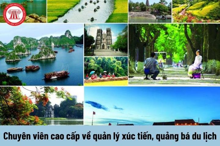 Từ Học sinh chuyên Toán đi bán đến chiến lược content: Hotspot Matrix chia sẻ
