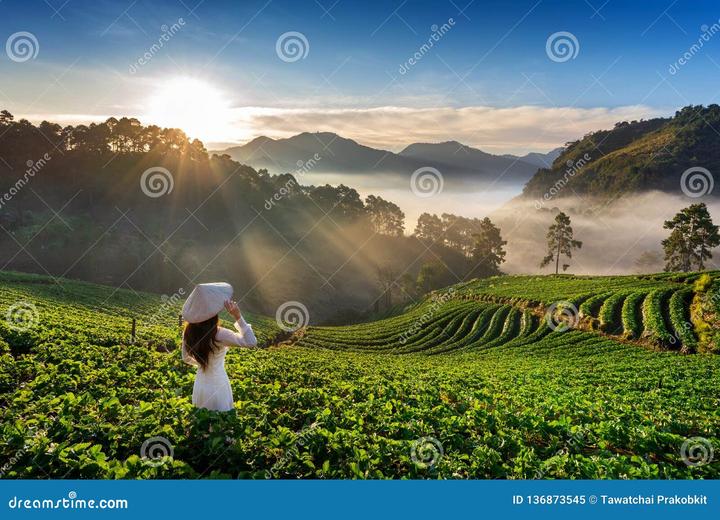 Xu hướng Sốc nặng với