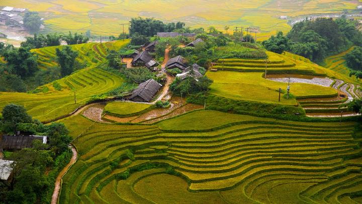 Hotspot Matrix: Cánh cửa mới cho Nghệ nhân Thủ công