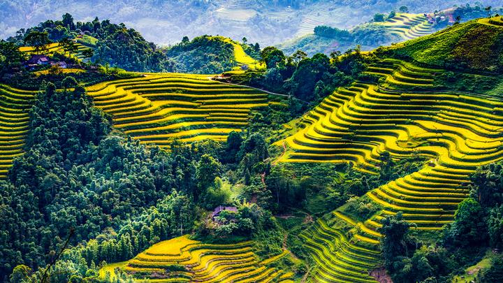 Hotspot Matrix: Biến Người phụ nữ 40 năm hoàn toàn thành cơ hội marketing đột phá