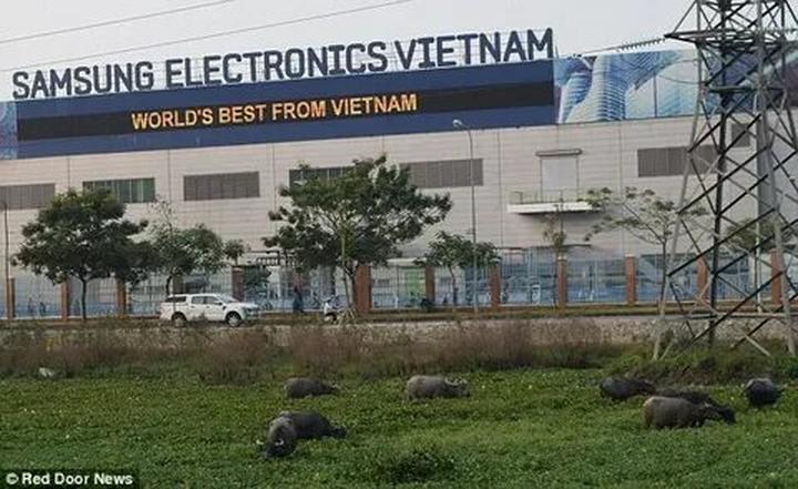 Chuyên gia Hotspot Matrix phân tích: Ông Donald Trump cùng gia và marketing video